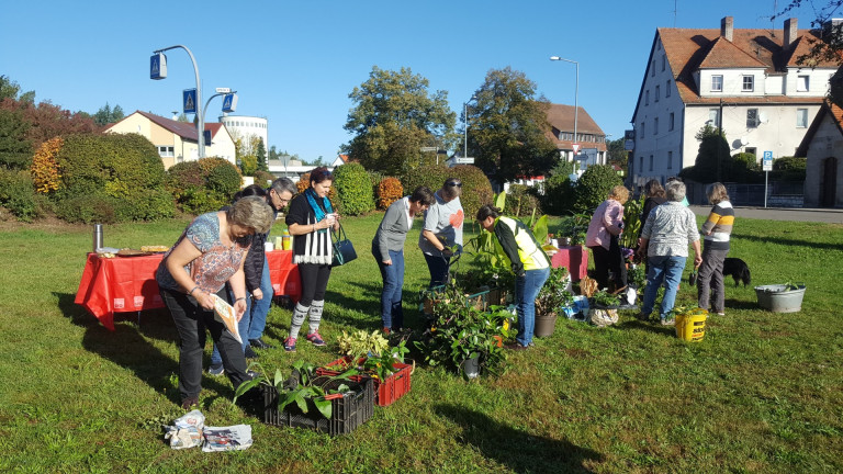 Pflanzentauschbörse im Oktober 2026
